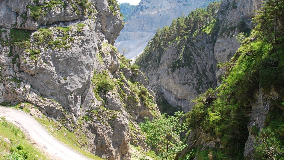 Wanderung Wanderung durch die Notgassen-Schlucht - Touren-Impression #2.15 | © Erlebnisregion Schladming-Dachstein