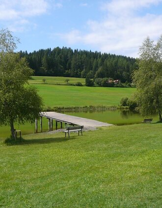 st. veit rundwanderweg_img_11440397 | Tourismusverband Murau | © Tourismusverband Murau