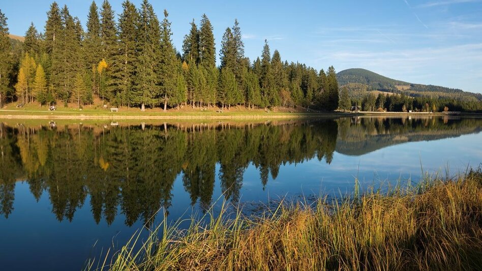 Road Cycling Apfelland & Almenland Tour - Touren-Impression #2.6 | © Bernhard Bergmann