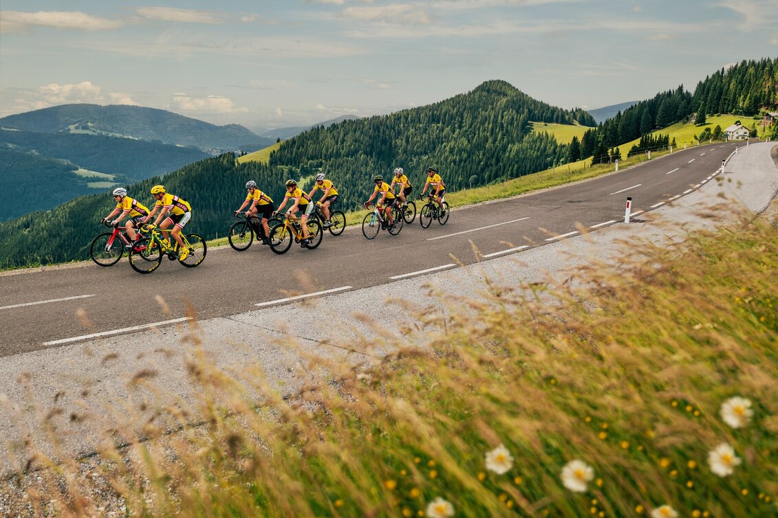 Road Cycling Apfelland & Almenland Tour - Touren-Impression #1