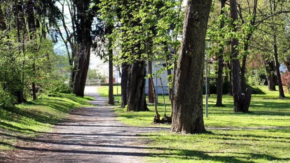 Road Cycling Raabtal Tour - Touren-Impression #2.2 | © Oststeiermark Tourismus