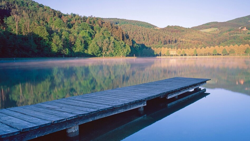 Road Cycling Apfelland Tour - Touren-Impression #2.3 | © Oststeiermark Tourismus