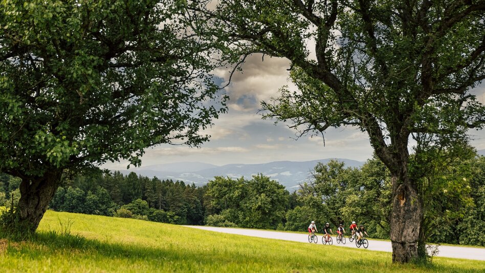 Road Cycling Apfelland Tour - Touren-Impression #2.7
