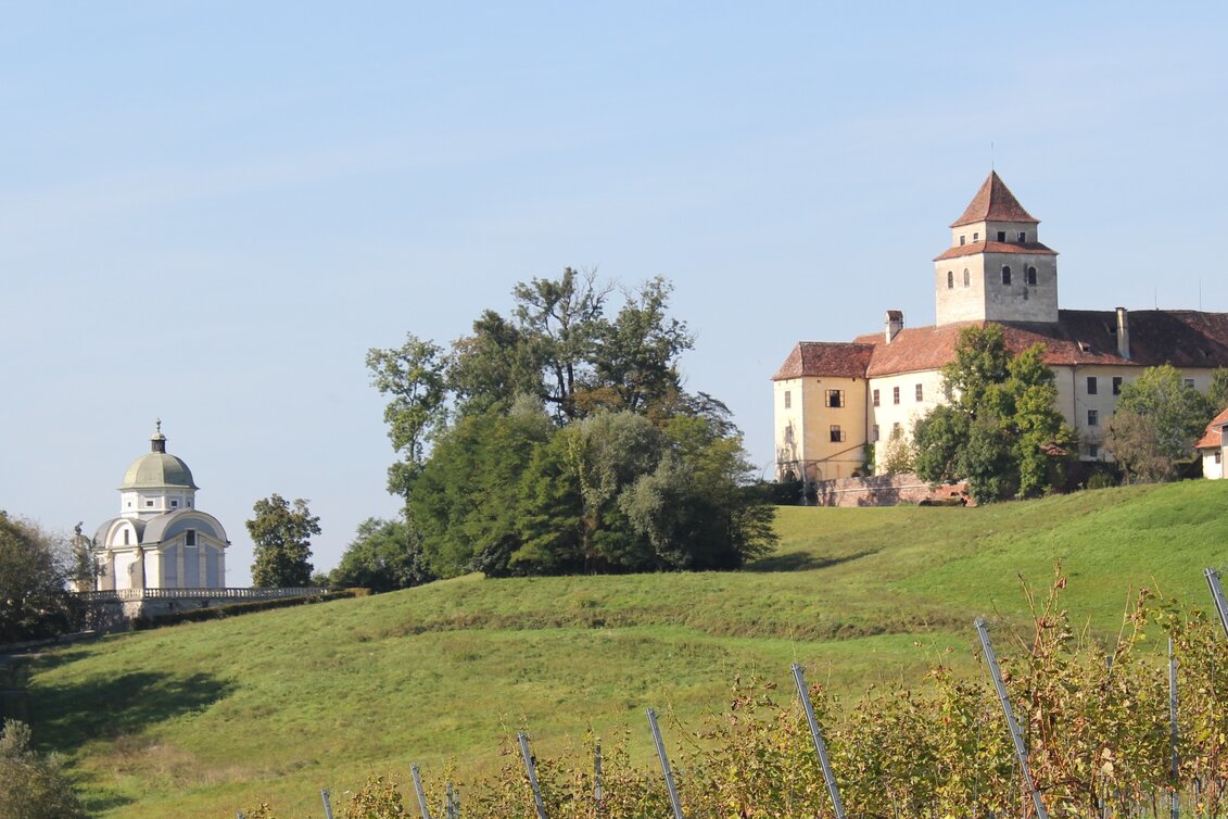 Wanderung Rundwanderweg Ehrenhausen Nr. 4 - Touren-Impression #1 | © TVB Südsteiermark/Ulrike Elsneg