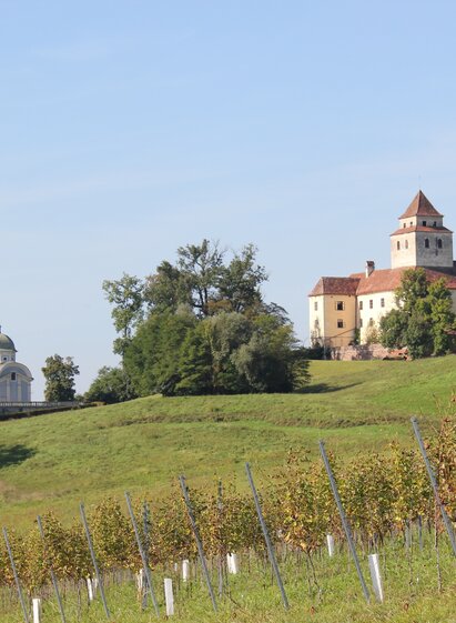 Blick vom Loisium auf Schloss und Mausoleum Ehrenhausen | © TVB Südsteiermark/Ulrike Elsneg | Ulrike Elsneg | © TVB Südsteiermark/Ulrike Elsneg