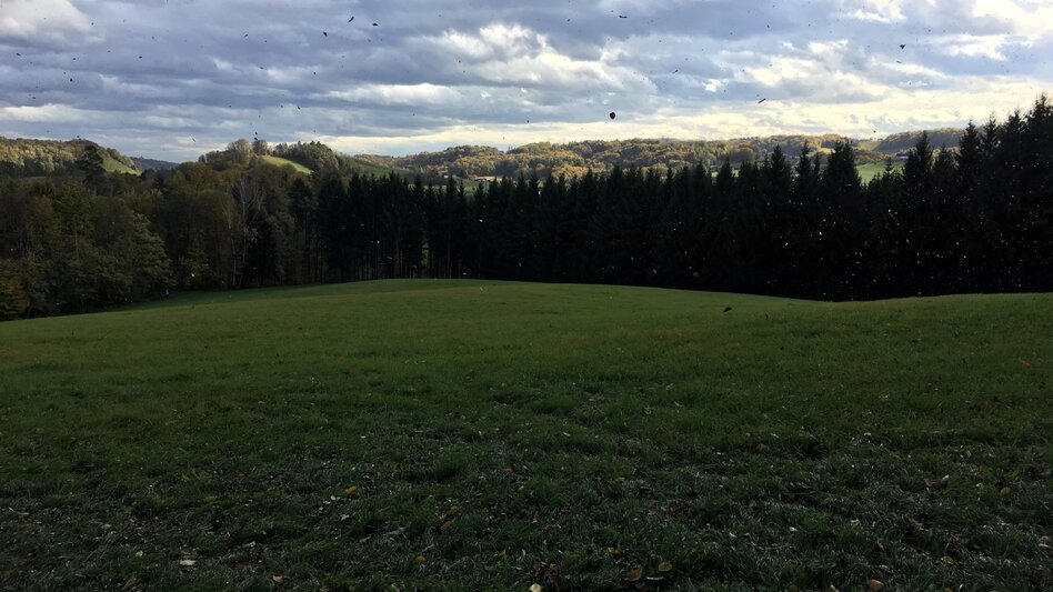 Wanderung Rundwanderweg Ehrenhausen Nr. 4 - Touren-Impression #2.2 | © TVB Südsteiermark/Gerald Brandlmayer
