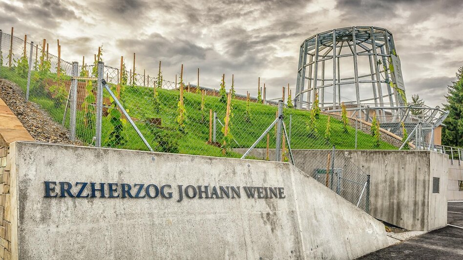 Wanderung Rundwanderweg Ehrenhausen Nr. 4 - Touren-Impression #2.4 | © TVB Südsteiermark/Erzherzog Johann Weine