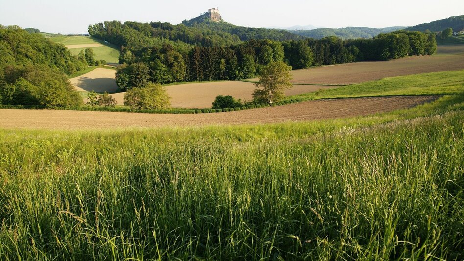 Bike Riding Palate Delight Tour (Gaumenfreuden-Tour) - Touren-Impression #2.5 | © Thermen- & Vulkanland