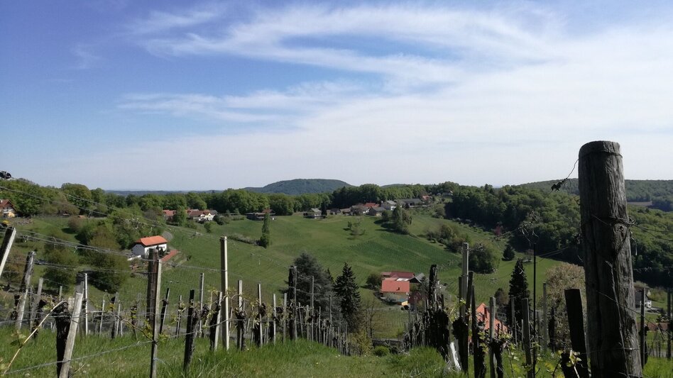Radfahren Kraftquellen-Tour - Touren-Impression #2.12 | © Thermen- & Vulkanland