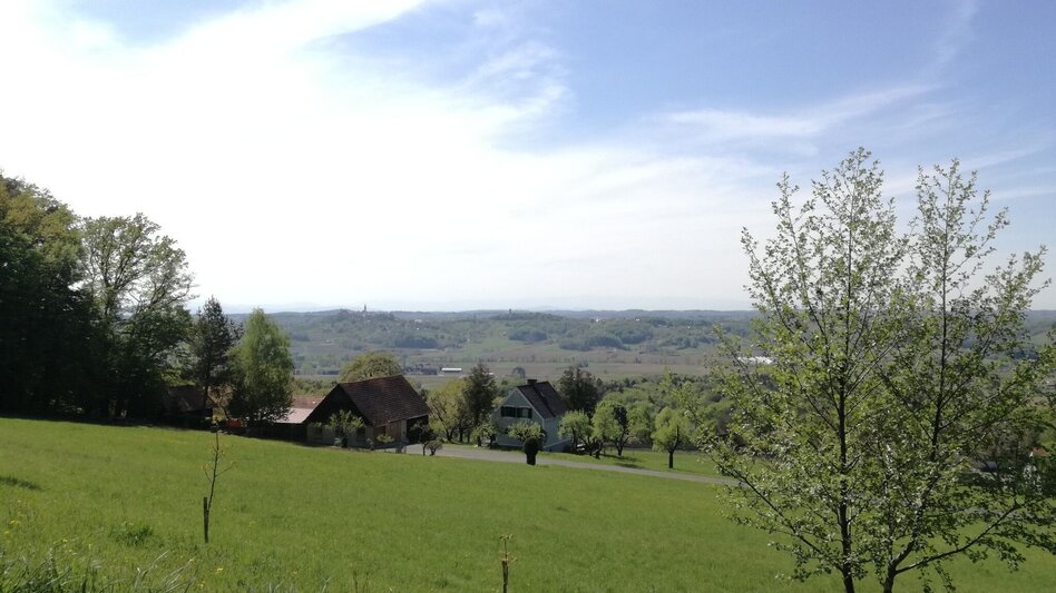 Radfahren Kraftquellen-Tour - Touren-Impression #2.13 | © Thermen- & Vulkanland