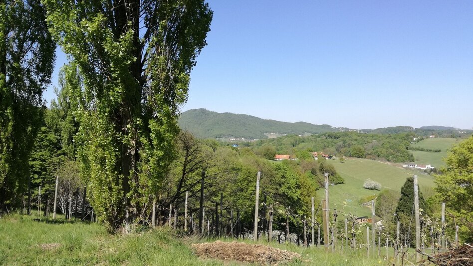 Radfahren Kraftquellen-Tour - Touren-Impression #2.15 | © Erlebnisregion Thermen- & Vulkanland