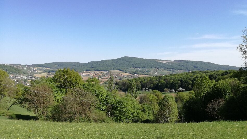 Radfahren Kraftquellen-Tour - Touren-Impression #2.16 | © Erlebnisregion Thermen- & Vulkanland