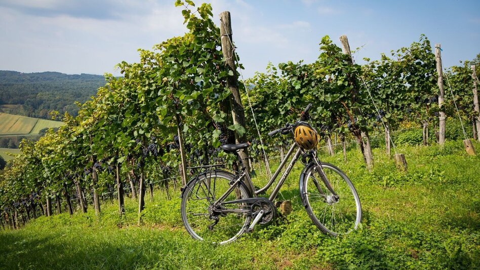 Radfahren Kraftquellen-Tour - Touren-Impression #2.1 | © Erlebnisregion Thermen- & Vulkanland