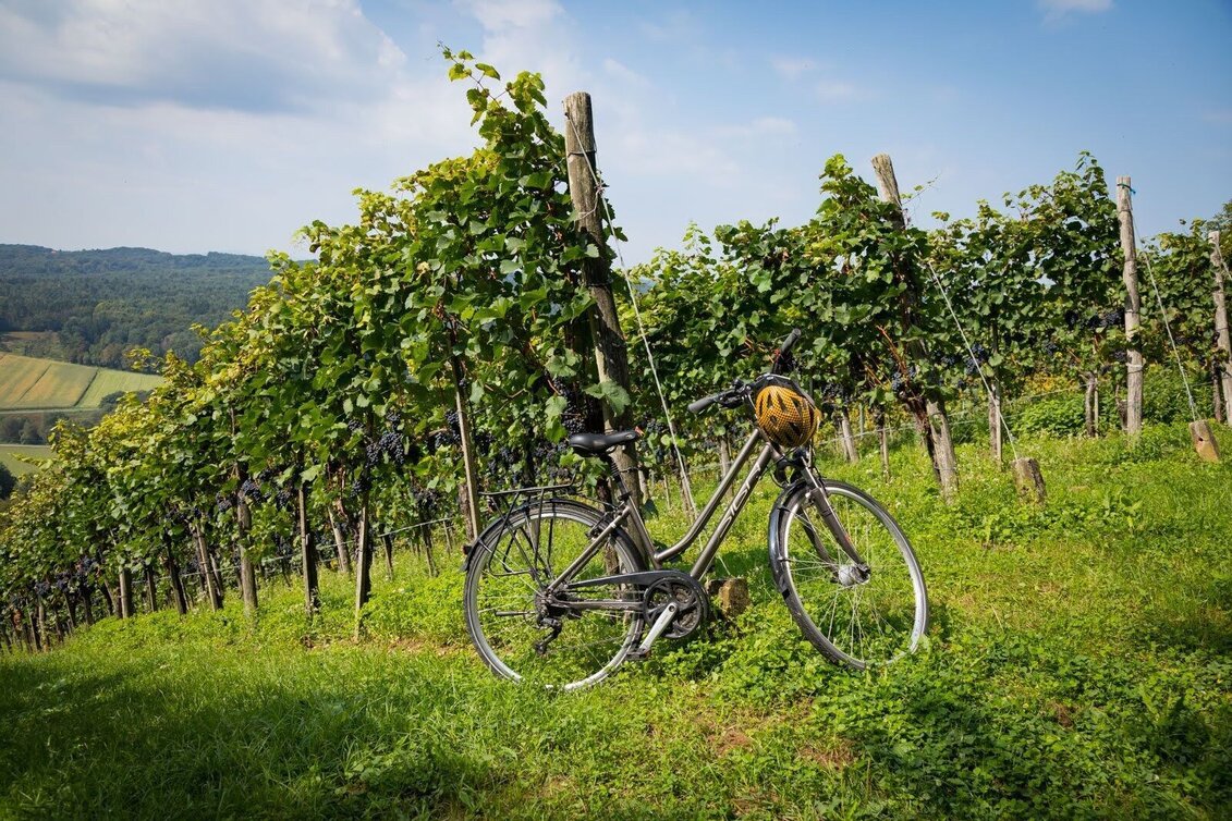 Radfahren Kraftquellen-Tour - Touren-Impression #1 | © Erlebnisregion Thermen- & Vulkanland