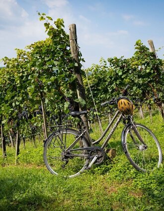 Kraft tanken und das herrliche Panorama genießen. | Werner Krug | © Erlebnisregion Thermen- & Vulkanland