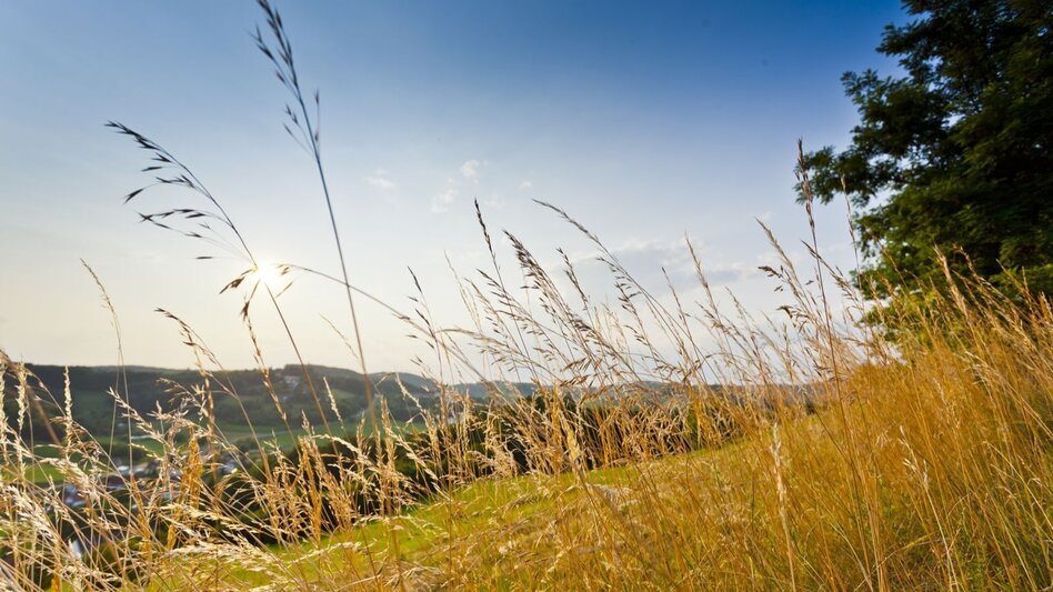 Radfahren Kraftquellen-Tour - Touren-Impression #2.9 | © Erlebnisregion Thermen- & Vulkanland