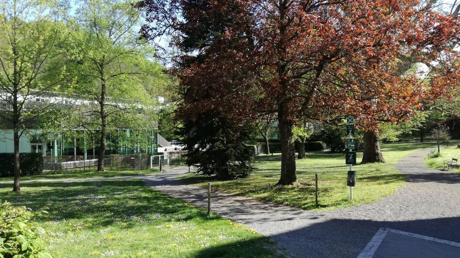 Radfahren Kraftquellen-Tour - Touren-Impression #2.3 | © Thermen- & Vulkanland