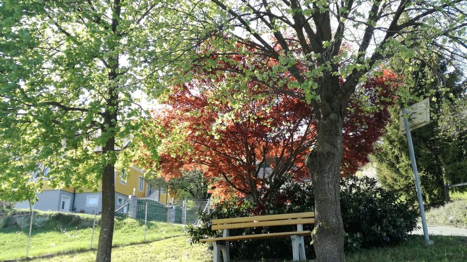 Radfahren Kraftquellen-Tour - Touren-Impression #2.4 | © Thermen- & Vulkanland