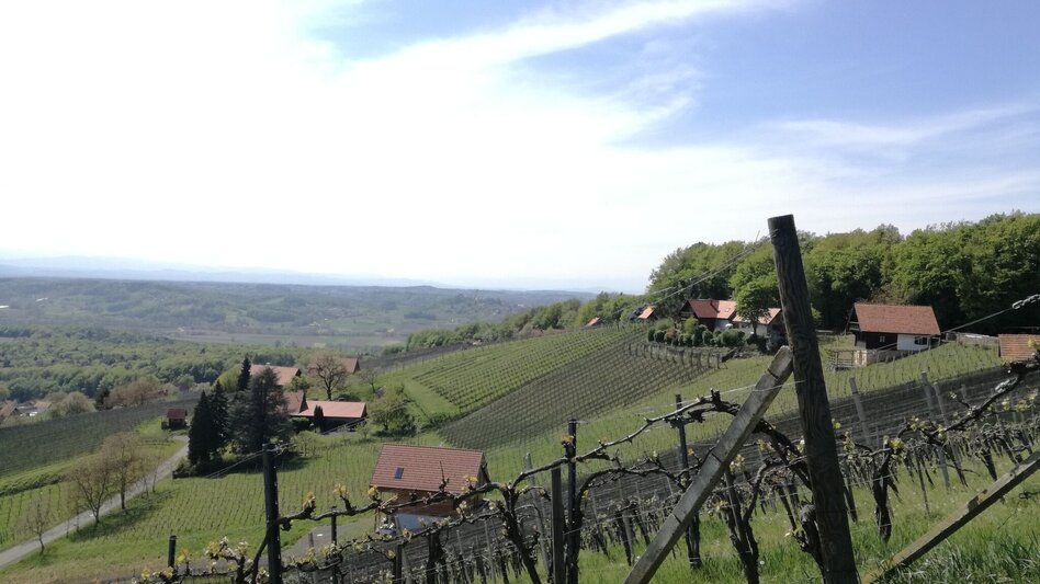 Radfahren Kraftquellen-Tour - Touren-Impression #2.10 | © Thermen- & Vulkanland
