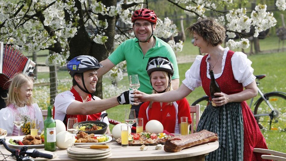 Radfahren Feinspitz-Tour - Bad Waltersdorf - Touren-Impression #2.2 | © Thermen- & Vulkanland