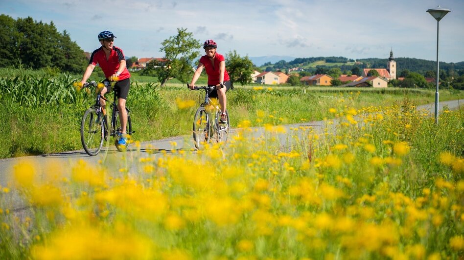 Radfahren Feinspitz-Tour - Bad Waltersdorf - Touren-Impression #2.4 | © Thermen- & Vulkanland