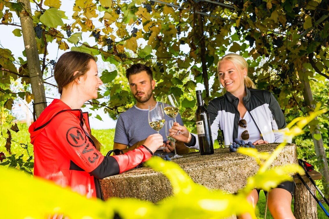 Bike Riding Wine and Water Tour (Wein- und Wasser-Tour) - Touren-Impression #1 | © Erlebnisregion Thermen- & Vulkanland