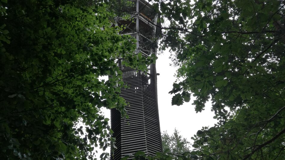 Bike Riding Wine and Water Tour (Wein- und Wasser-Tour) - Touren-Impression #2.4 | © TVB Thermen- & Vulkanland