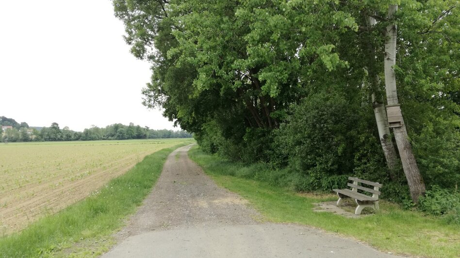 Bike Riding Wine and Water Tour (Wein- und Wasser-Tour) - Touren-Impression #2.10 | © Thermen- & Vulkanland