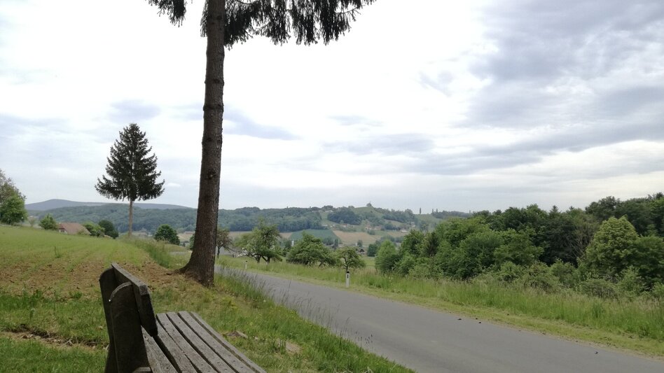 Bike Riding Wine and Water Tour (Wein- und Wasser-Tour) - Touren-Impression #2.11 | © Thermen- & Vulkanland