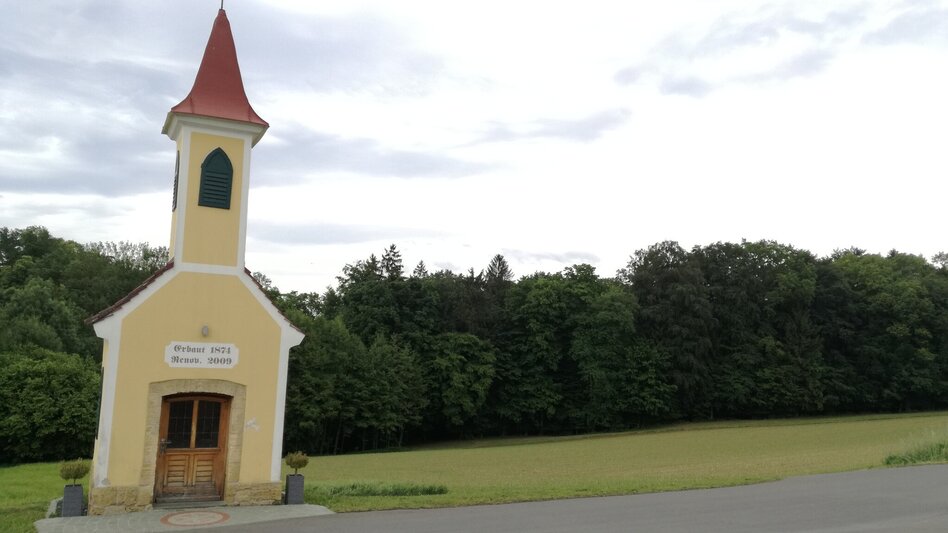 Bike Riding Wine and Water Tour (Wein- und Wasser-Tour) - Touren-Impression #2.12 | © Thermen- & Vulkanland