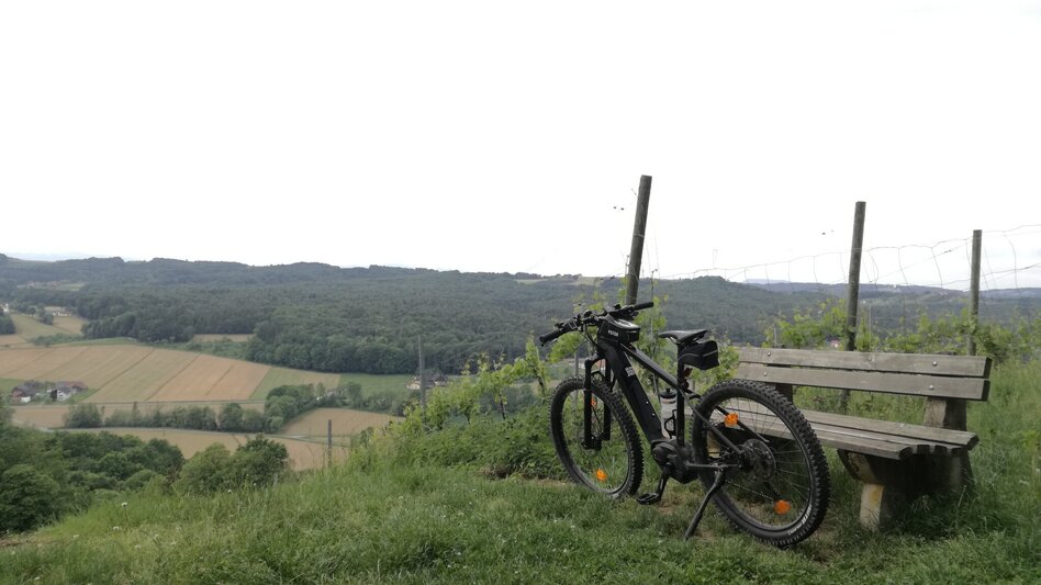Bike Riding Wine and Water Tour (Wein- und Wasser-Tour) - Touren-Impression #2.13 | © Thermen- & Vulkanland