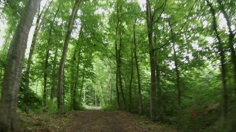 Bike Riding Wine and Water Tour (Wein- und Wasser-Tour) - Touren-Impression #2.15 | © Thermen- & Vulkanland