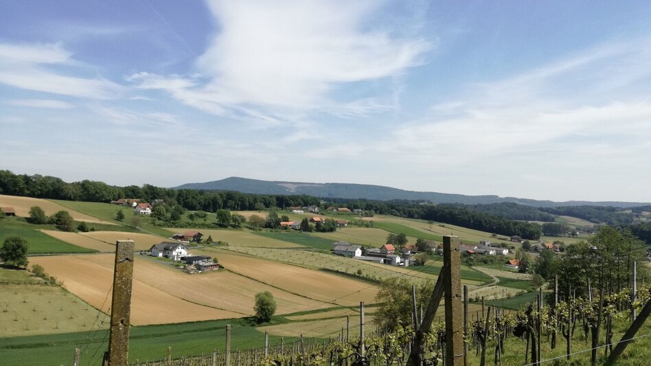 Bike Riding Tatschkerland tour (Tatschkerland Tour) - Touren-Impression #2.2 | © Thermen- & Vulkanland