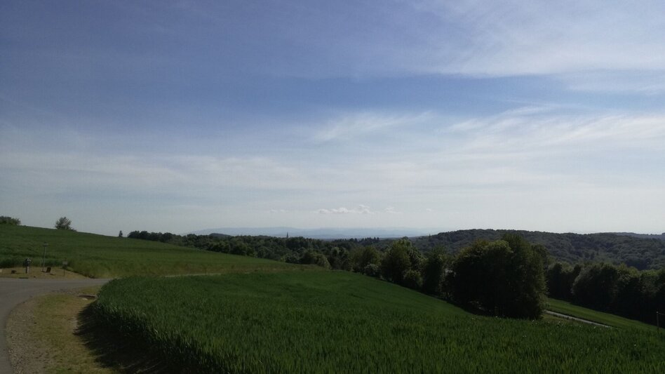 Bike Riding Tatschkerland tour (Tatschkerland Tour) - Touren-Impression #2.4 | © Thermen- & Vulkanland