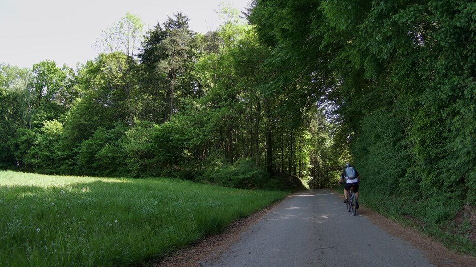 Bike Riding Tatschkerland tour (Tatschkerland Tour) - Touren-Impression #2.7 | © Thermen- & Vulkanland