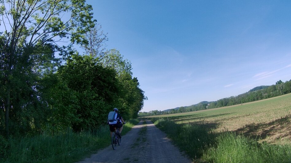 Bike Riding Tatschkerland tour (Tatschkerland Tour) - Touren-Impression #2.8 | © Erlebnisregion Thermen- & Vulkanland