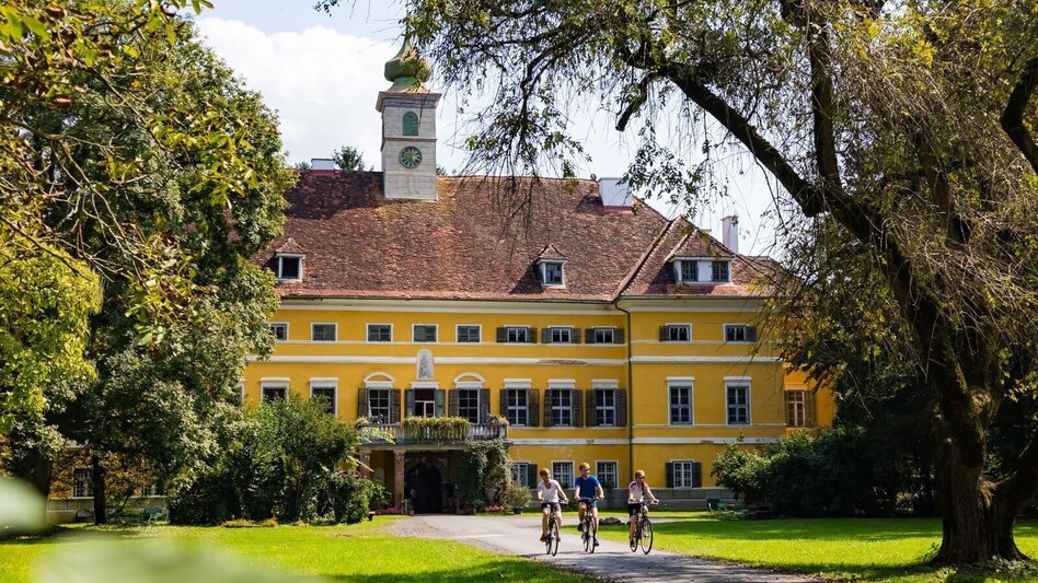 Bike Riding Tatschkerland tour (Tatschkerland Tour) - Touren-Impression #2.1 | © Erlebnisregion Thermen- & Vulkanland