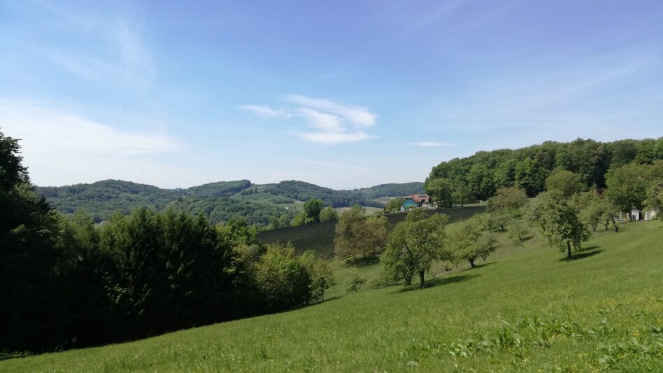 Bike Riding Tatschkerland tour (Tatschkerland Tour) - Touren-Impression #2.11 | © Thermen- & Vulkanland