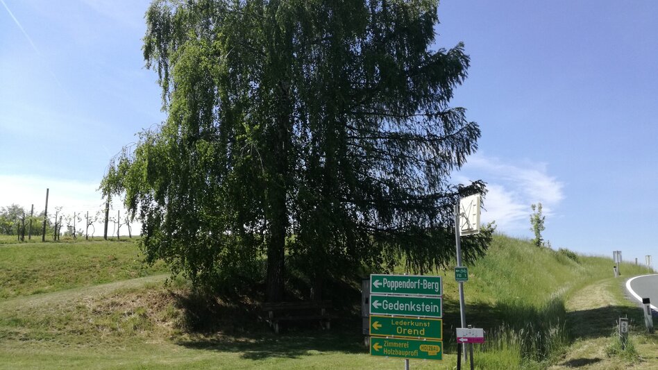 Bike Riding Tatschkerland tour (Tatschkerland Tour) - Touren-Impression #2.12 | © Thermen- & Vulkanland