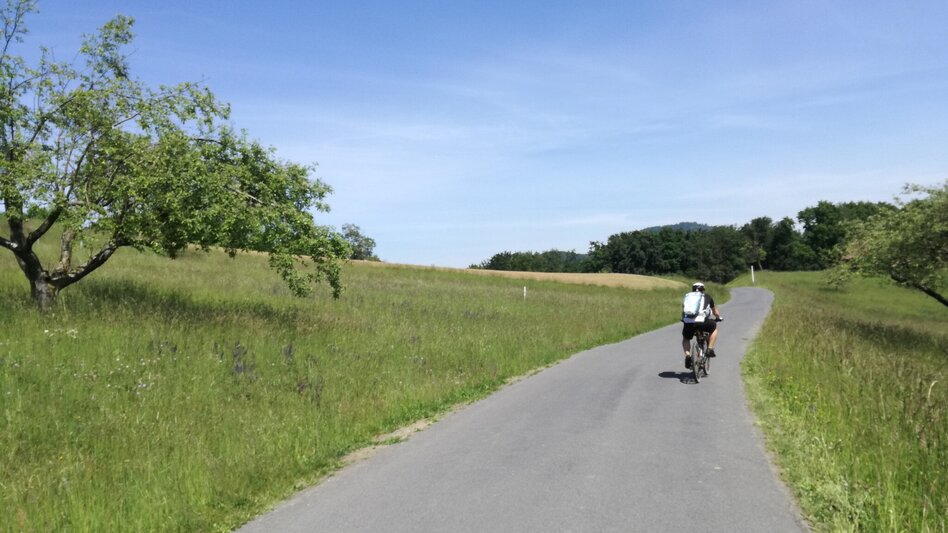 Bike Riding Tatschkerland tour (Tatschkerland Tour) - Touren-Impression #2.13 | © Thermen- & Vulkanland