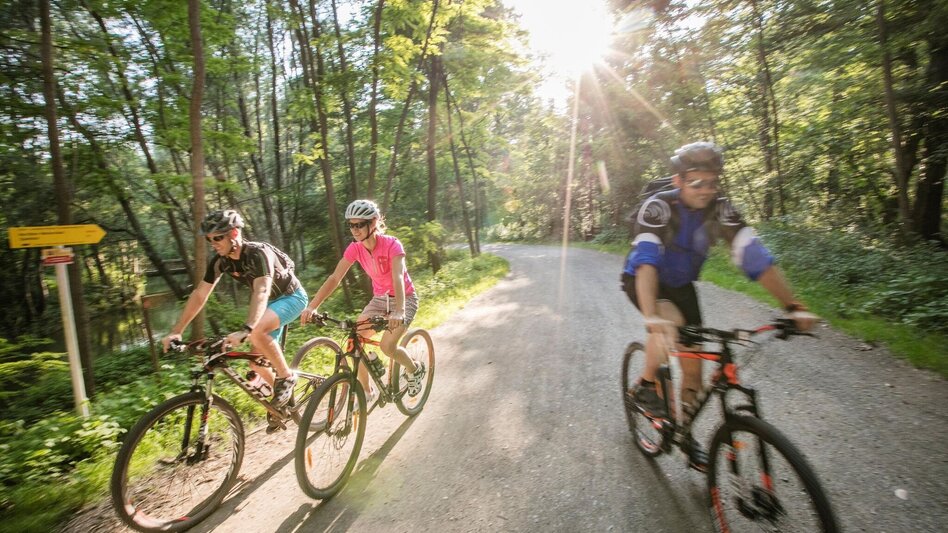 Radfahren Panorama-Tour - Touren-Impression #2.1 | © Thermen- & Vulkanland