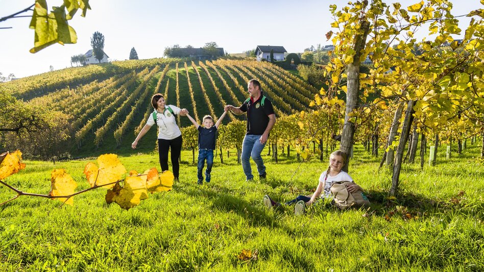 Hiking route Traminerweg, Klöch, 2nd section, "Around the Hochwarth". (Traminerweg, Klöch, 2. Abschnitt, "Rund um den Hochwarth" ) - Touren-Impression #2.5 | © Thermen- & Vulkanland