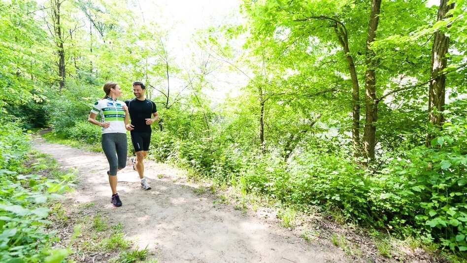 Hiking route Antenne river landscape-around the river mur (Antenne Flusslandschaft-Murauen) - Touren-Impression #2.1 | © Thermen- & Vulkanland