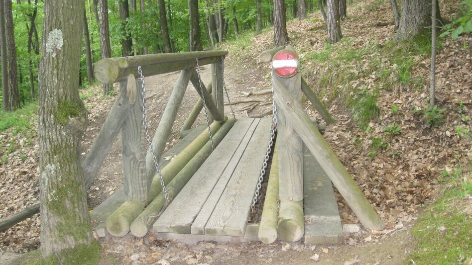 Theme path Kogel circular trail (Kogelrundweg) - Touren-Impression #2.3 | © Thermen- & Vulkanland