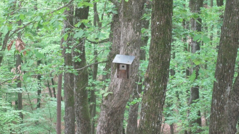 Theme path Kogel circular trail (Kogelrundweg) - Touren-Impression #2.4 | © Erlebnisregion Thermen- & Vulkanland
