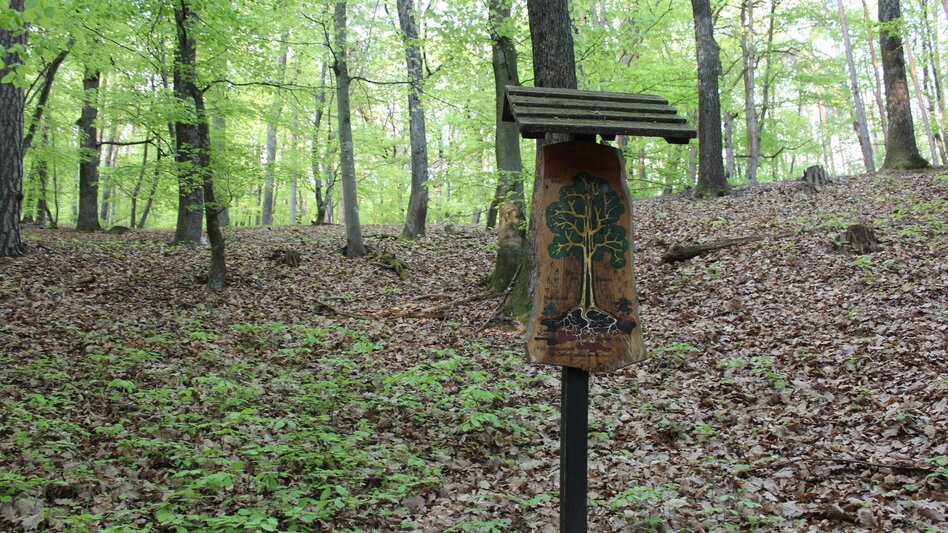 Theme path Kogel circular trail (Kogelrundweg) - Touren-Impression #2.7 | © Thermen- & Vulkanland