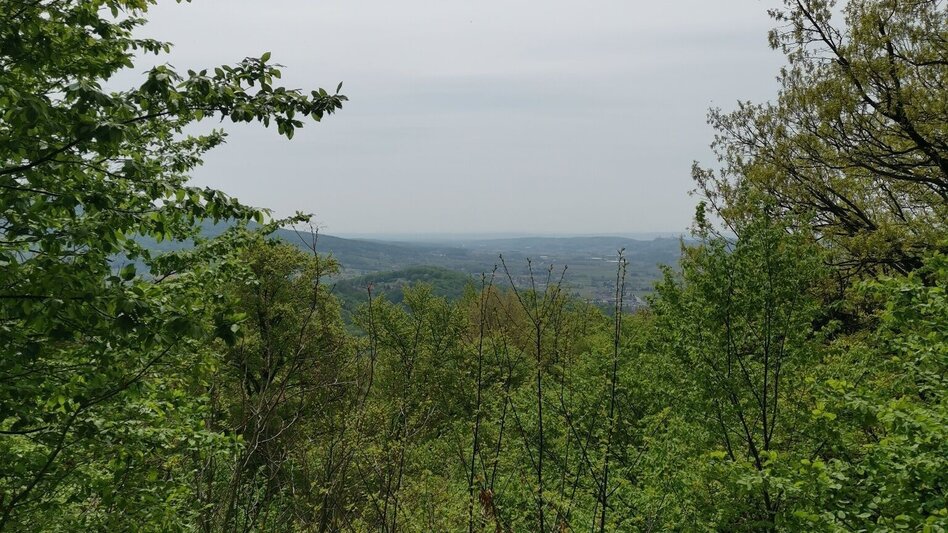 Theme path Kogel circular trail (Kogelrundweg) - Touren-Impression #2.14 | © Erlebnisregion Thermen- & Vulkanland
