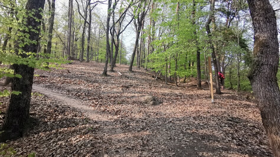 Theme path Kogel circular trail (Kogelrundweg) - Touren-Impression #2.12 | © Thermen- & Vulkanland