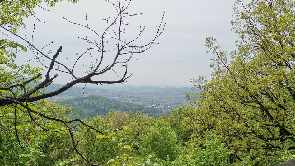 Theme path Kogel circular trail (Kogelrundweg) - Touren-Impression #2.16 | © Thermen- & Vulkanland