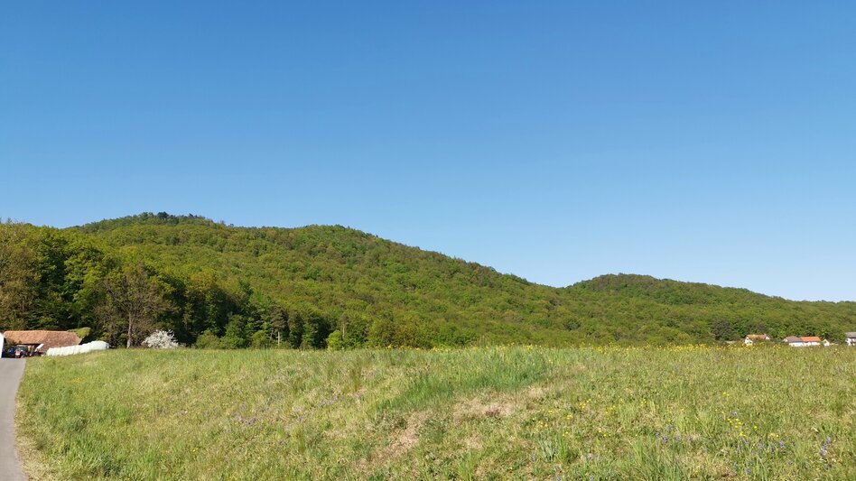 Theme path Kogel circular trail (Kogelrundweg) - Touren-Impression #2.15 | © Thermen- & Vulkanland